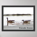 Search for geese posters Animals