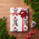 Search for boxer dog christmas wrapping paper Animals
