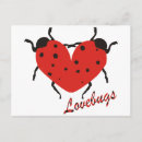Search for ladybirds postcards Spots