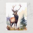 Search for stag postcards Watercolor