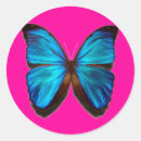 Search for morpho butterfly stickers Nature