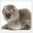 Search for young bird stickers Wildlife