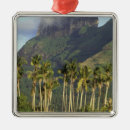 Search for polynesia christmas tree decorations Island