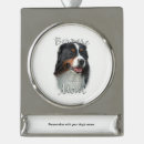 Search for bmd Bernese mountain dog
