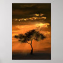 Search for lonely tree posters Drawing