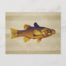 Search for vintage fish postcards Angler