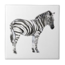 Search for zebra tiles Watercolor