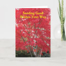 Search for red maple leaf cards Photography