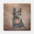 Search for pedigree dog magnets Pet