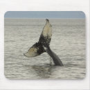 Search for humpback mousepads Usa