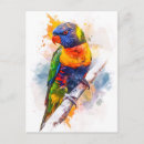 Search for lorie postcards Parrot