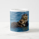 Search for sea otter mugs Pacific ocean