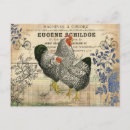 Search for vintage country postcards Rooster