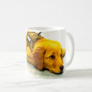 Search for military dogs mugs Police