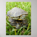 Search for turtles art Adorable