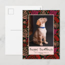 Search for dog photos postcards Cat