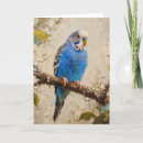 Search for budgie cards Blue
