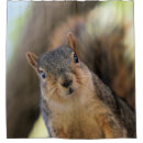 Search for squirrel shower curtains Tree