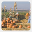 Search for bale stickers Fall