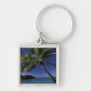 Search for st john virgin islands key rings Trunk bay