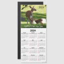 Search for whitetail magnets Fawn