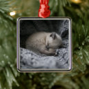 Search for curl christmas tree decorations Animal