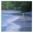 Search for two sided coasters Outdoors