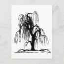 Search for willow tree postcards Weeping