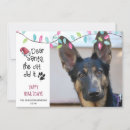 Search for dog sayings cards Funny