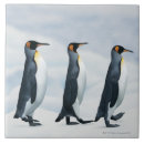 Search for penguin tiles Togetherness