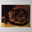 Search for french cat posters Cute
