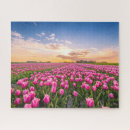 Search for holland tulips puzzles Flower