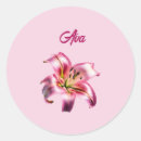 Search for asiatic stickers Pink