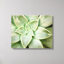 Search for wall photography Botanical