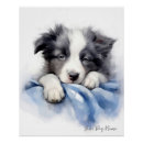 Search for sleeping dog posters Dogs