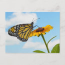 Search for body shape postcards Flower
