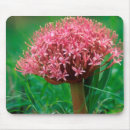 Search for agapanthus mousepads Colour image