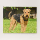 Search for airedale terrier puzzles Pet