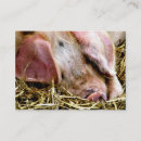 Search for pig farm business cards Animals