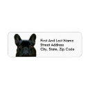 Search for boston return address labels Animal
