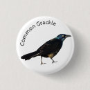 Search for common badges Nature