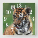 Search for animal print nursery decor Tiger