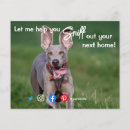 Search for funny flyers Dog