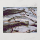 Search for sashimi postcards Salmon