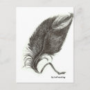 Search for eagle feather postcards Birds