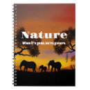 Search for environment notebooks Conservation
