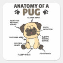 Search for funny pug stickers Dogs