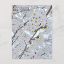 Search for trinities postcards Canada
