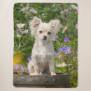 Search for chihuahua blankets Dog