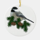Search for chickadee christmas tree decorations Pine